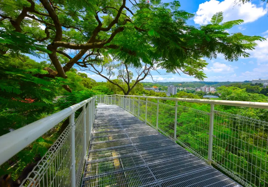 八卦山登山步道