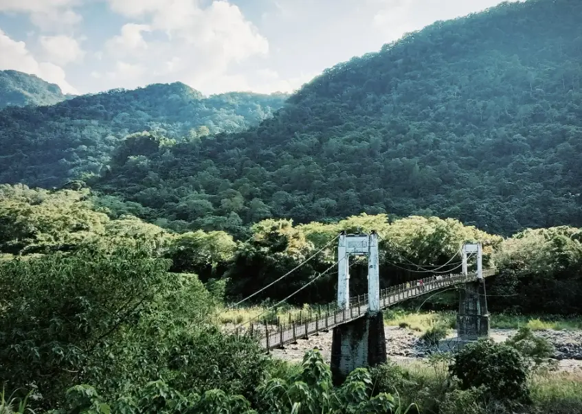 新竹森林步道推薦