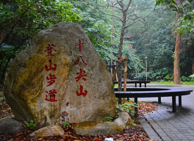 新竹森林步道推薦