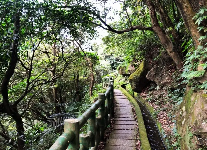 新北新手爬山路線