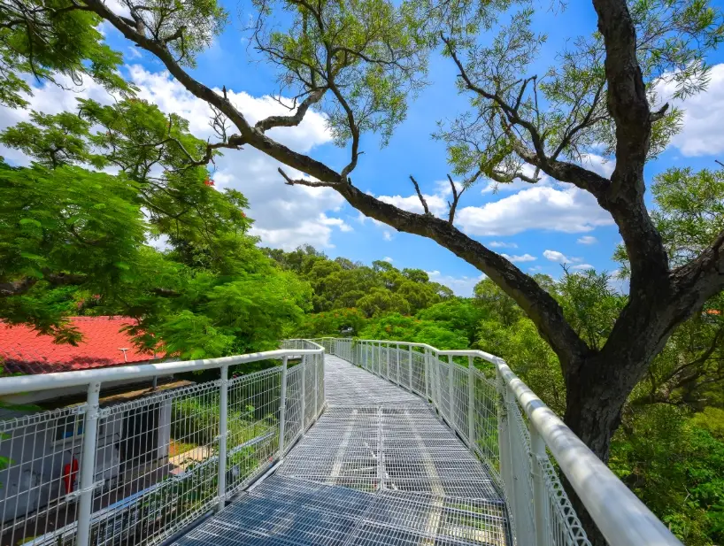 彰化八卦山步道