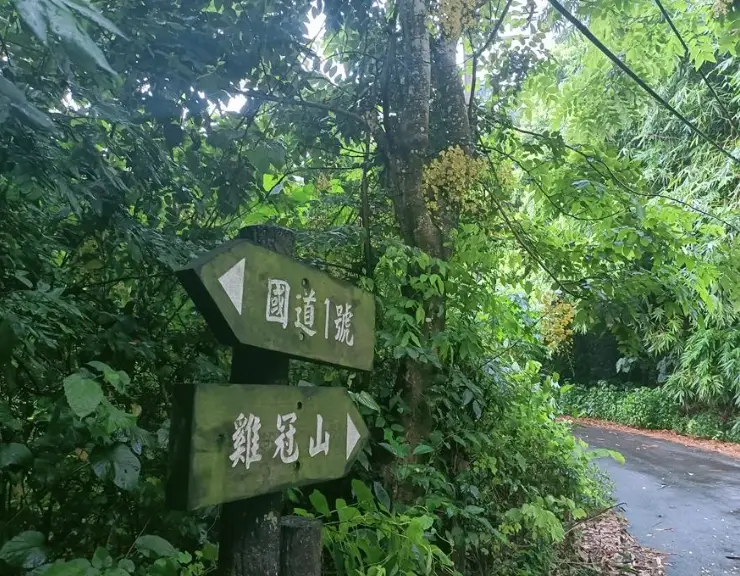 雞冠山登山步道