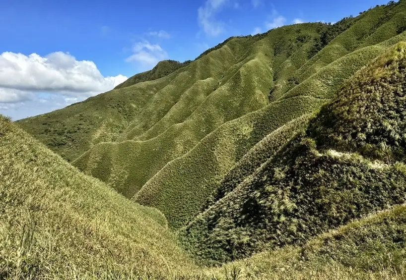 抹茶山