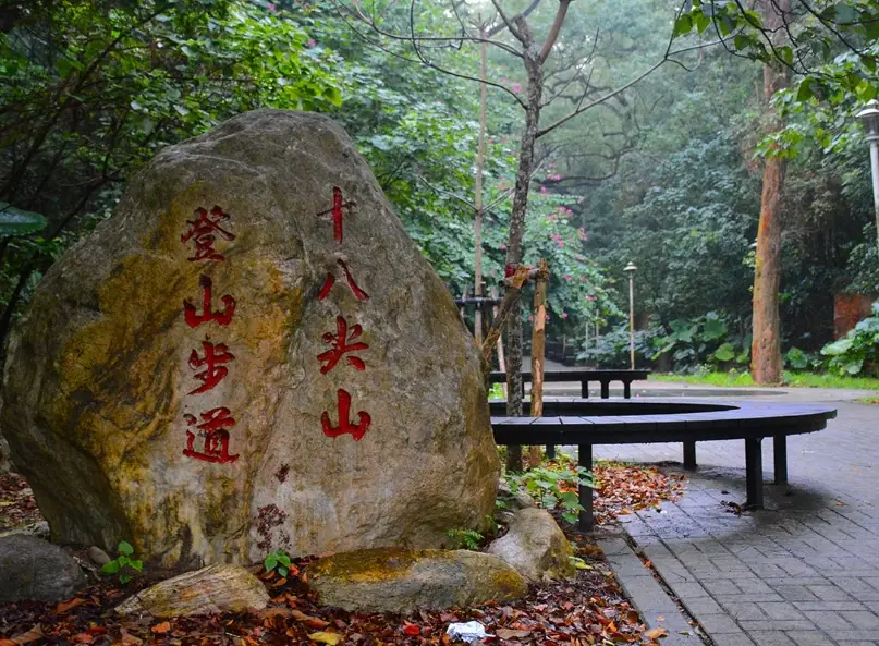 新竹爬山步道推薦
