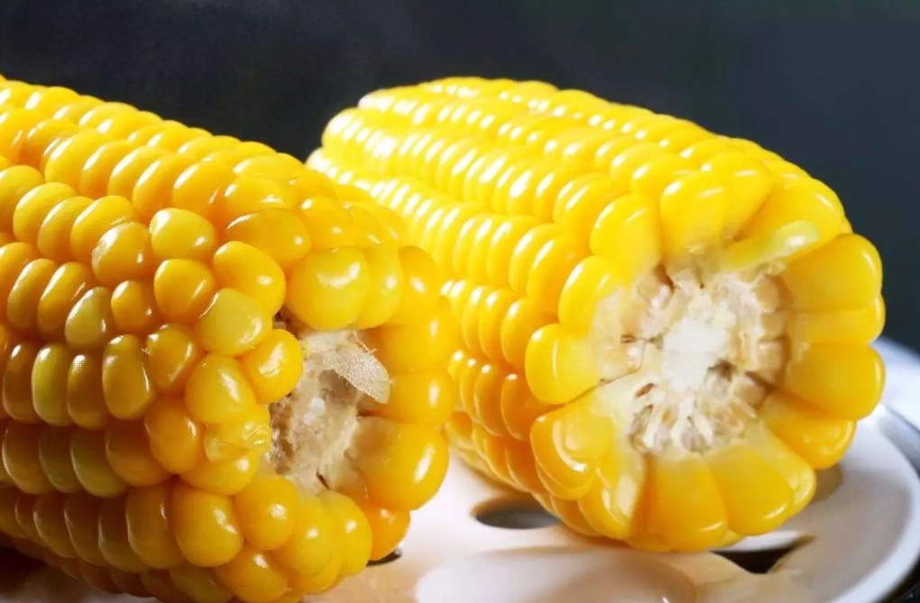 玉米熱量 玉米熱量