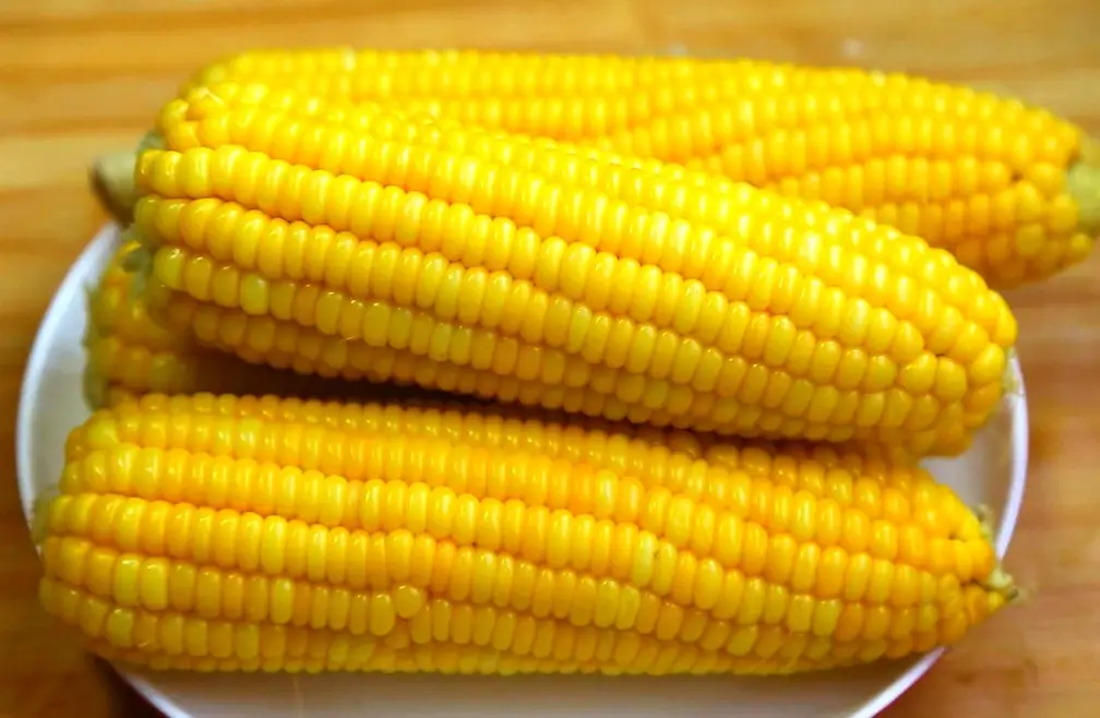 一根玉米熱量 一根玉米熱量