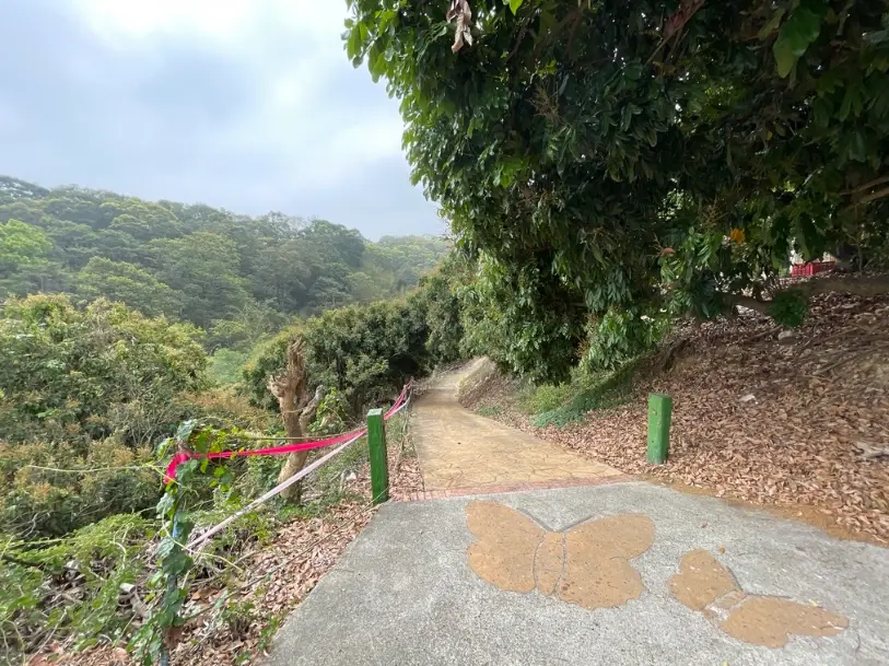 银发族步道