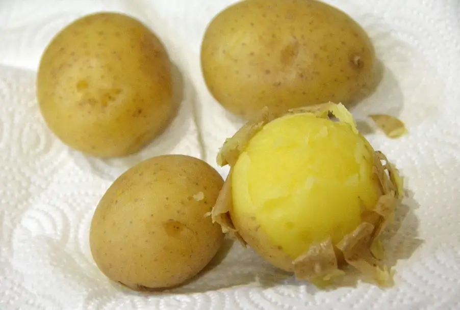 馬鈴薯蒸多久