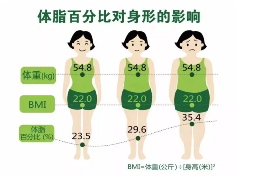 體脂率過高 體脂率過高