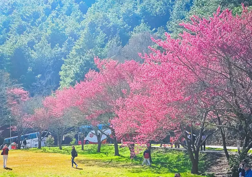 台中避暑景點
