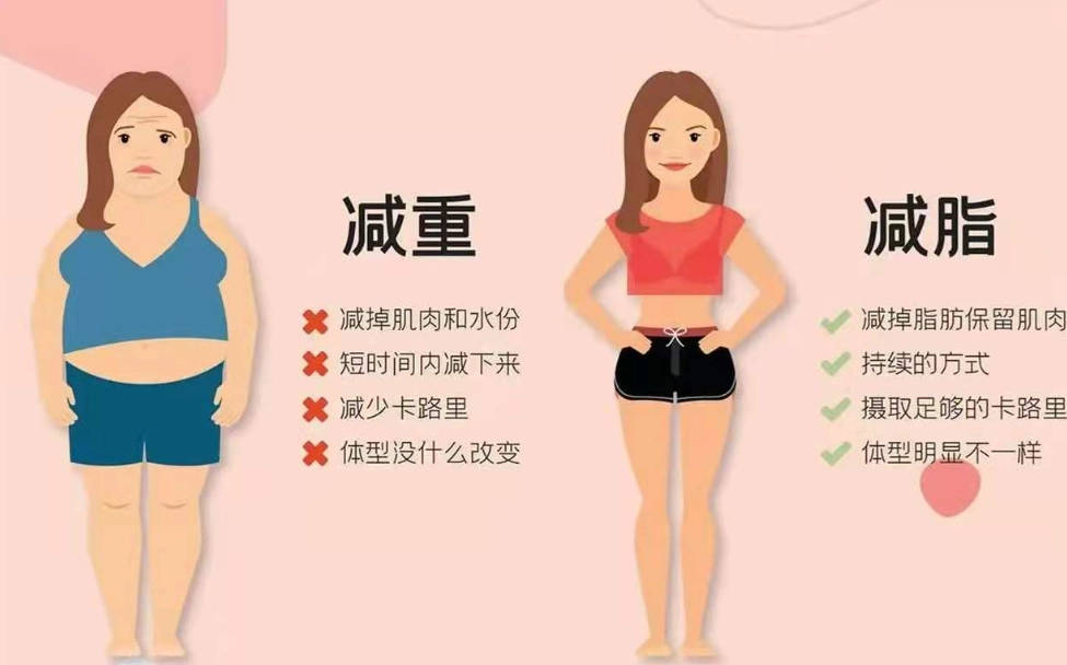 每週減重標準 每週減重標準