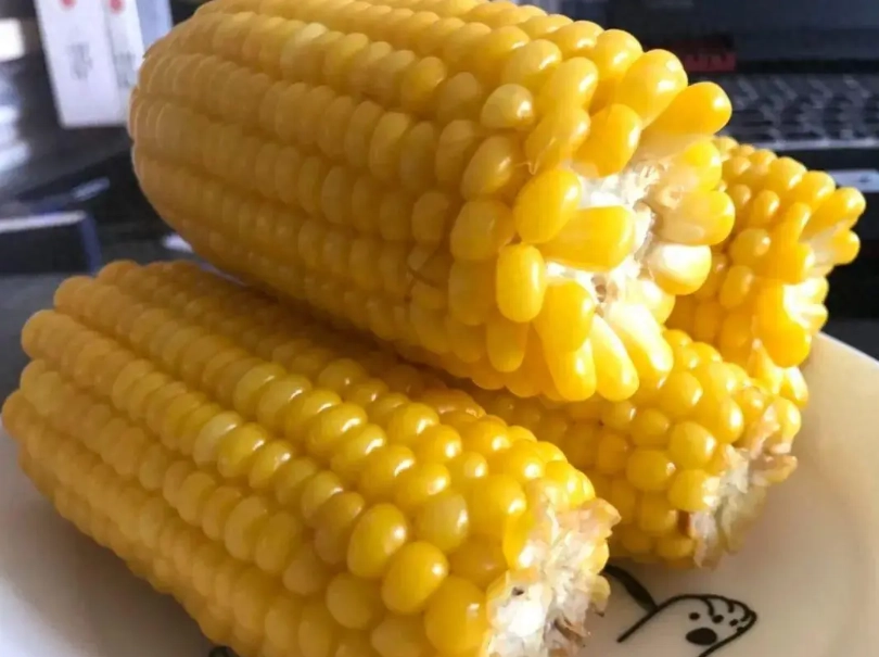 玉米熱量 玉米熱量