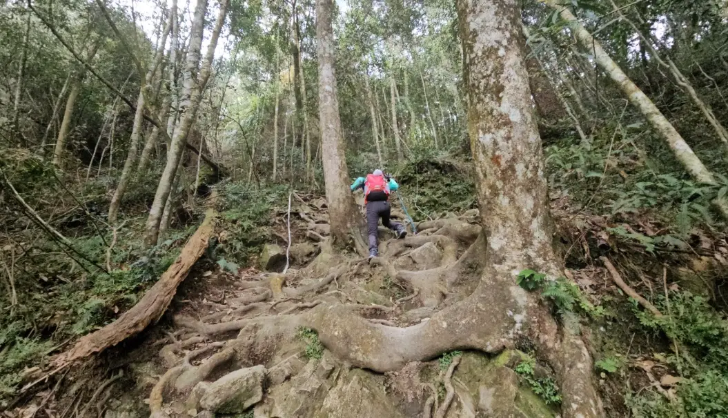 水社大山登山時間