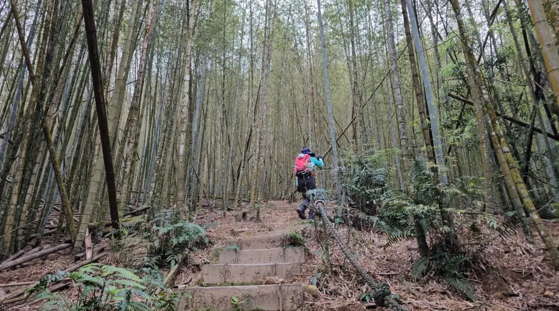 水社大山登山時間