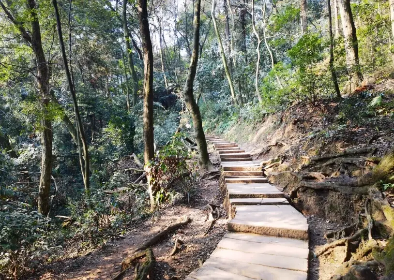 南投步道