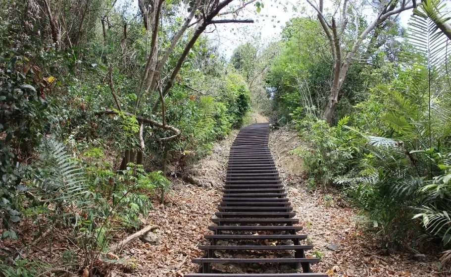 柴山步道