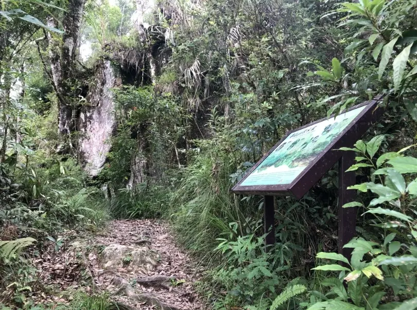 都蘭山登山 都蘭山登山
