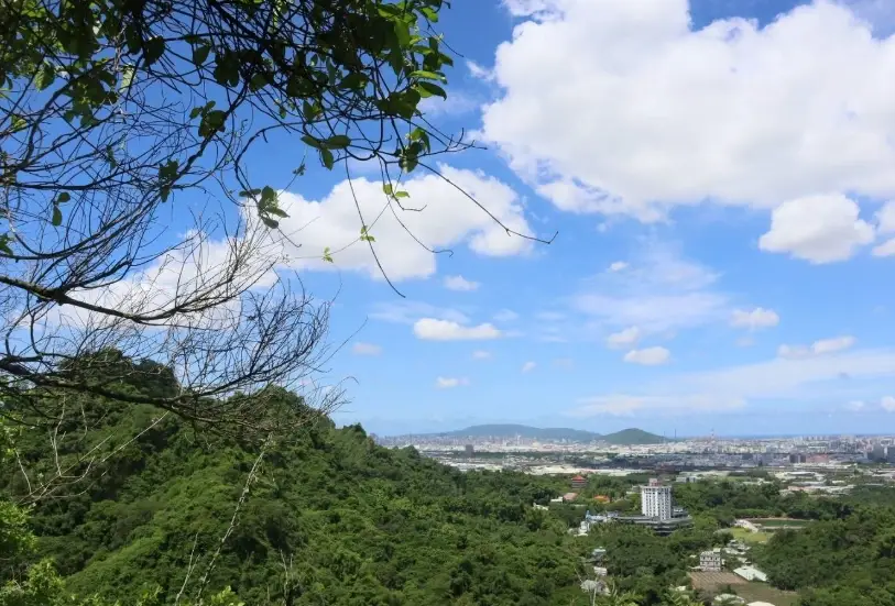 高雄登山步道 高雄登山步道