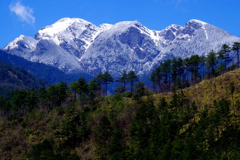 雪山東峰登山路線 雪山東峰登山路線