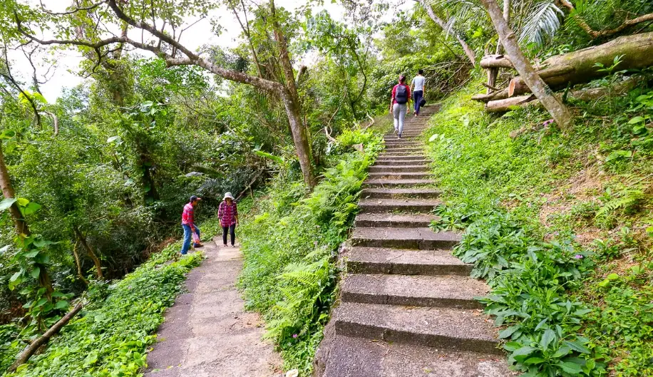 都蘭山步道 都蘭山步道