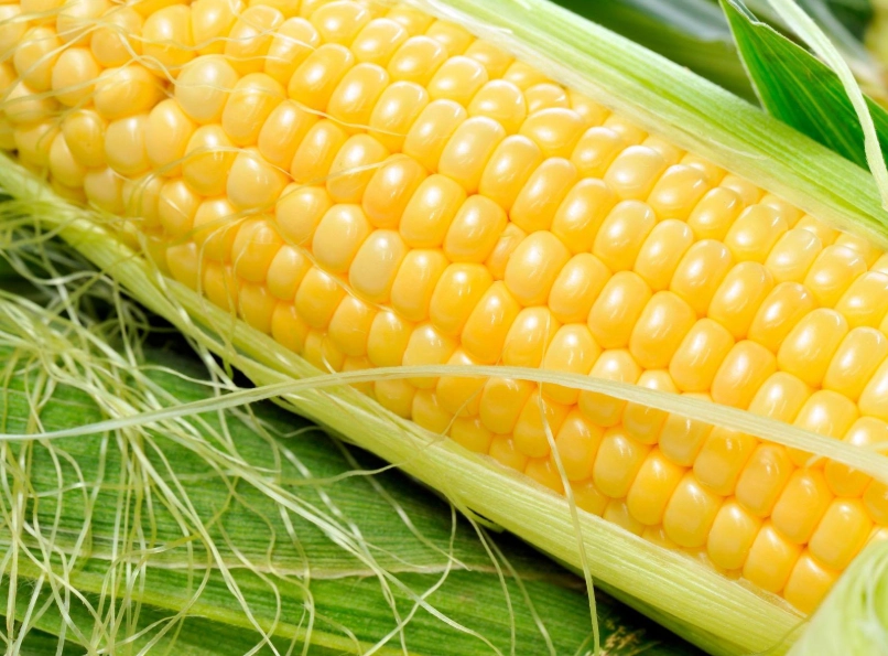 玉米 熱量 玉米 熱量