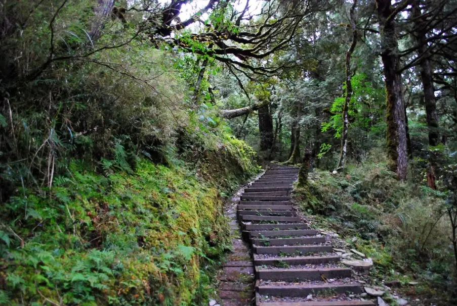 都蘭山步道 都蘭山步道