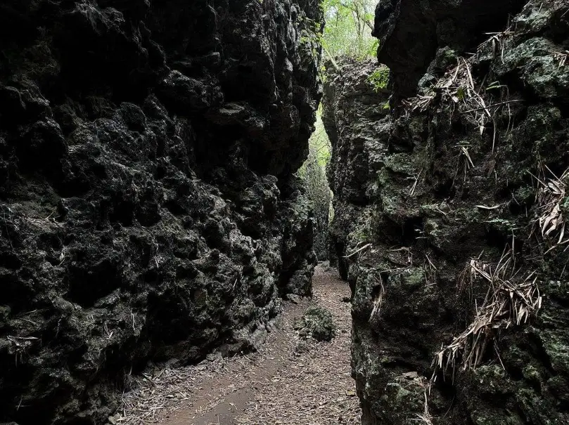 高雄百岳登山 高雄百岳登山