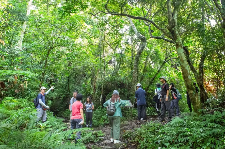 都蘭山難度 都蘭山難度