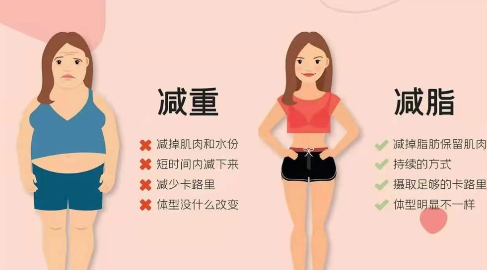 減肥10公斤要多久