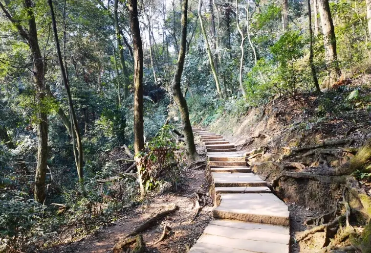 都蘭山步道難度 都蘭山步道難度