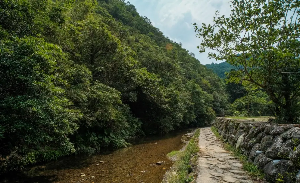 都蘭山步道難度 都蘭山步道難度