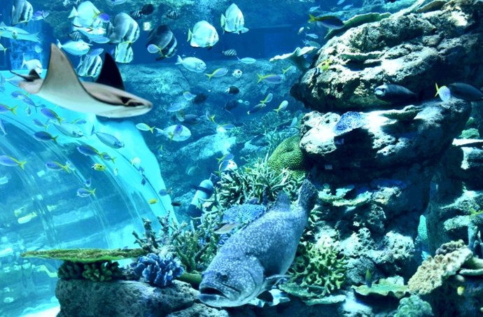 名古屋港水族館