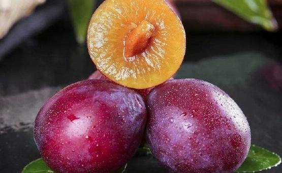 改善腸胃蠕動飲食