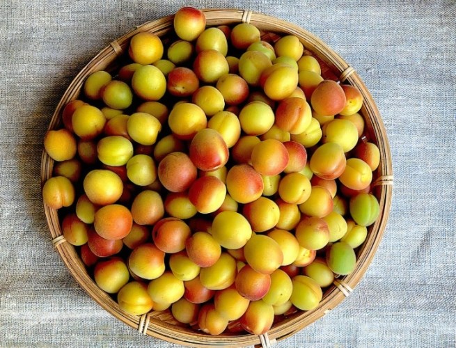 酵素功效 酵素功效