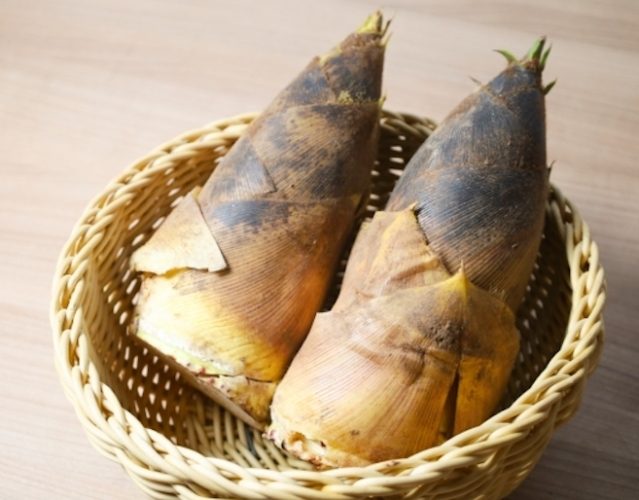 腸阻塞飲食 腸阻塞飲食