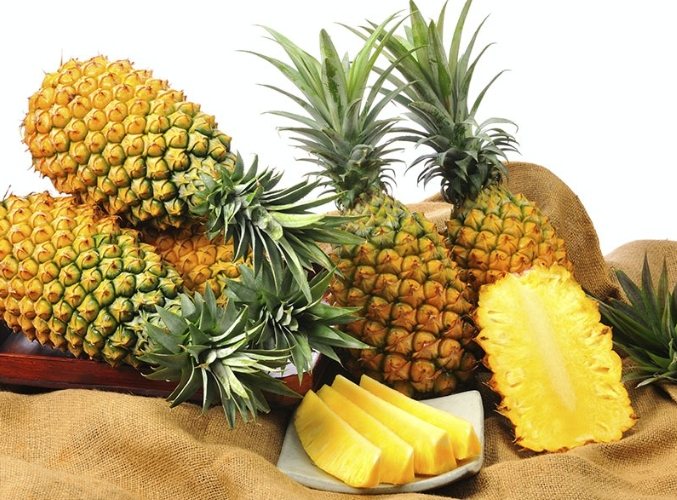 鳳梨酵素益生菌功效