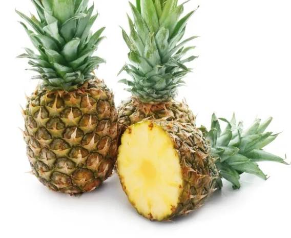 鳳梨酵素益生菌推薦