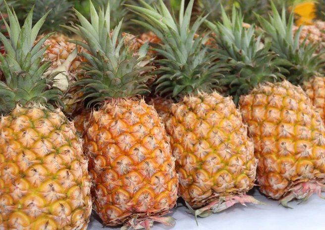 鳳梨酵素益生菌功效