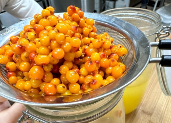 水果酵素功效 水果酵素功效