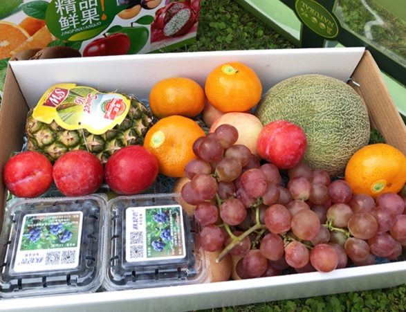 脹氣酵素哪個好