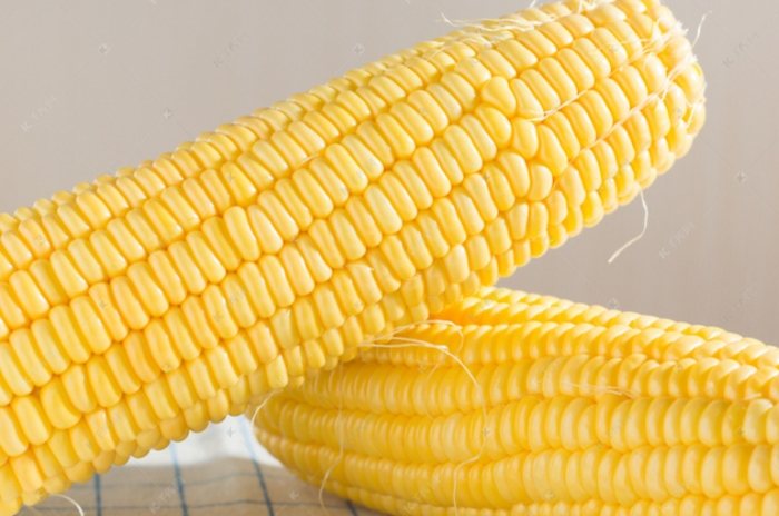 甜玉米熱量