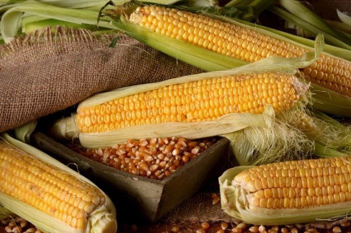 玉米怎麼挑選