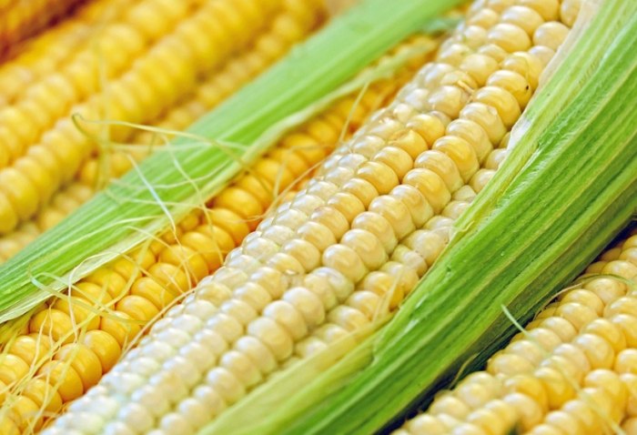 如何挑選甜玉米