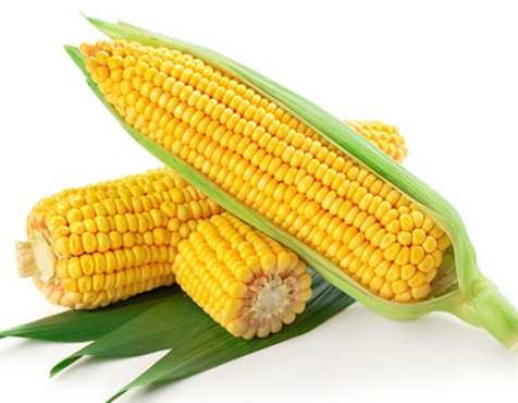 玉米營養價值