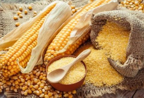 玉米澱粉 生粉 區別