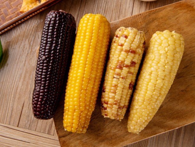 玉米營養價值