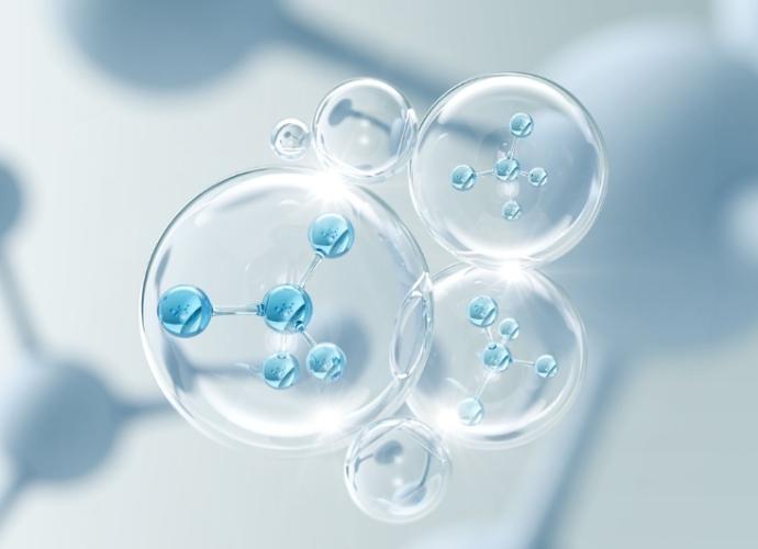 酵素益生菌差別