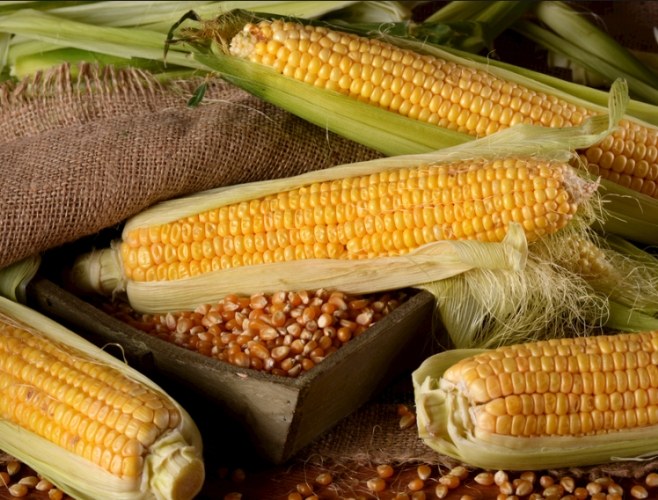 男人吃玉米好處 男人吃玉米好處