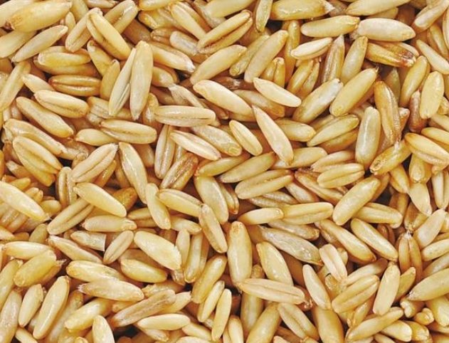 糖尿病飲食玉米罐頭