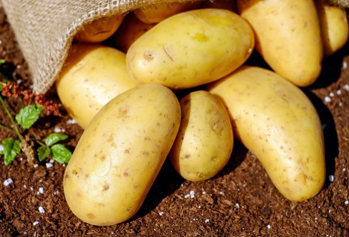 馬鈴薯升糖指數